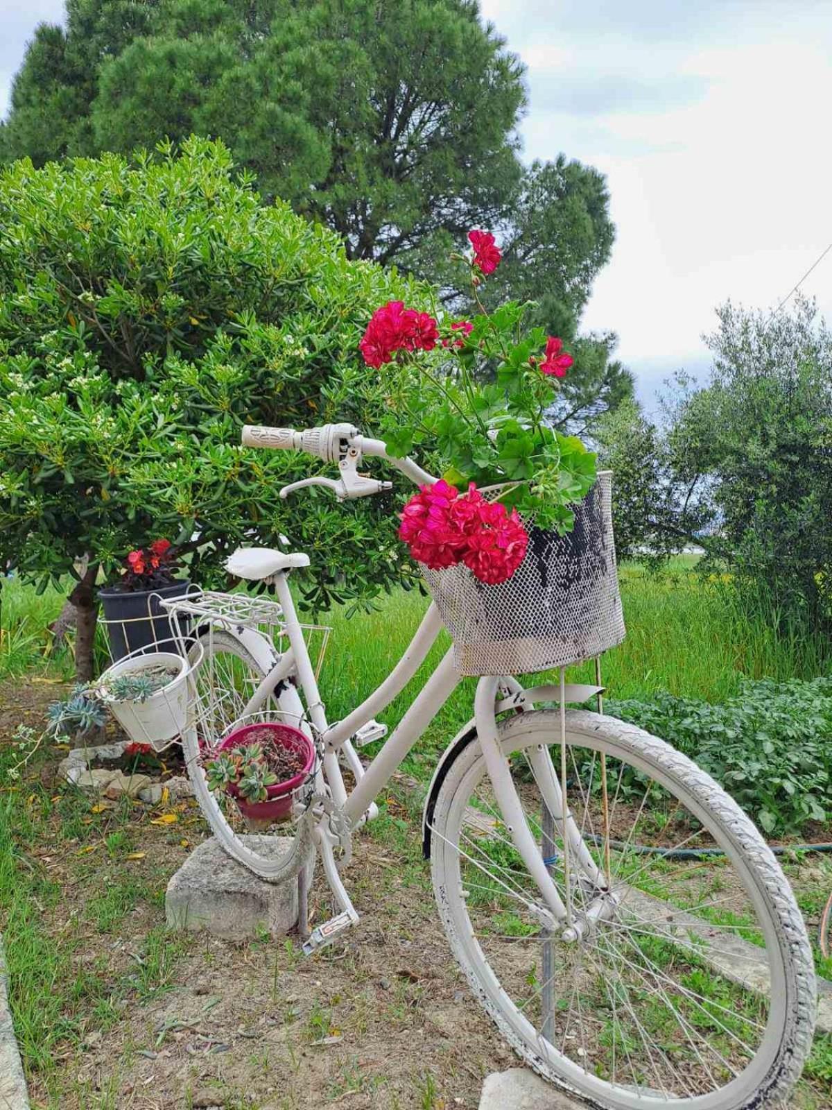 Corfu Lakeside Cottage Kanoni  Exteriér fotografie